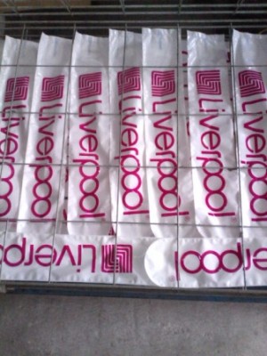 ALPMEXICO Avisos gratis en Mexico lindo en Morelia |  Aplaudidores para todo tipo de eventos en colores, Aplaudidores para todo tipo de eventos