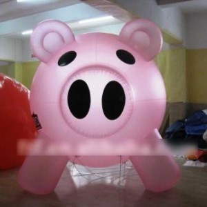 ALPMEXICO Avisos gratis en Mexico lindo en Chilpancingo de los Bravo |  Figuras inflables publicitarias muy llamativas en colores, Figuras inflables publicitarias