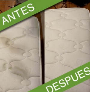 Limpieza de Salas y  Avisos gratis en Mexico lindo en Miguel Hidalgo |  Limpieza y lavado de colchones en cdmx				, Xxx