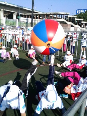 ALP M&eacute;xico Avisos gratis en Mexico lindo en Tlalpan |  Globos gigantes tipo pelota con su publicidad                         , Pelotas gigantes