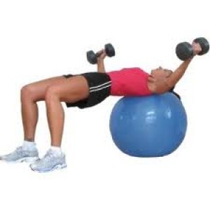 ALP M&eacute;xico Avisos gratis en Mexico lindo en Tlalpan |  Pilates pelotas para gimnasio varios bonitos colores, Pelotas pilates