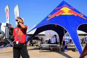 ALP M&eacute;xico Avisos gratis en Mexico lindo en Iztacalco |  Carpas estrella o de picos con logos impresos, Carpas estrella