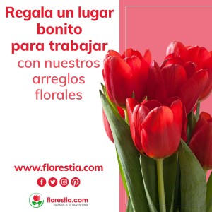 Gabriel Digimerk Avisos gratis en Mexico lindo en Iztacalco |  Venta de arreglos florales a domicilio florestia, Flores,arreglos,floral,flor,adornos