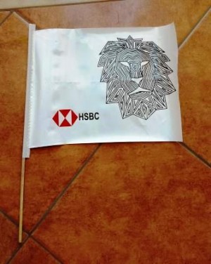 ALP M&eacute;xico Avisos gratis en Mexico lindo en Tequisquiapan |  Banderines personalizados con su publicidad diferentes colores, Banderines