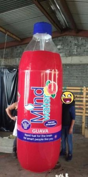 ALP M&eacute;xico Avisos gratis en Mexico lindo en Monterrey |  Inflables gigantes publicitarios varios modelos y dise&Ntilde;os, Inflables gigantes
