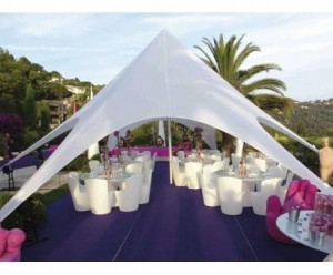 ALP M&eacute;xico Avisos gratis en Mexico lindo en Veracruz |  Carpas estrella o de picos con logos impresos, Carpa estrella