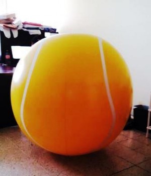 ALP MEXICO Avisos gratis en Mexico lindo en Chiapa de Corzo |  Pelotas gigantes con logo impreso varios modelos, Pelotas gigantes