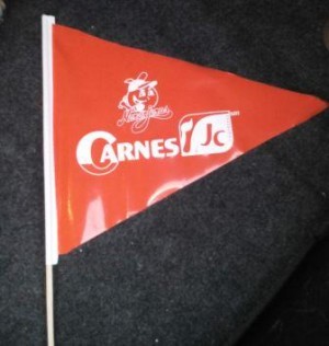 ALP MEXICO Avisos gratis en Mexico lindo en Guanajuato |  Banderines de pl&aacute;stico con logos y publicidad impresa, Banderines