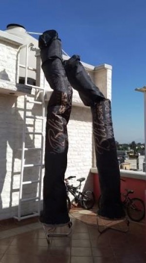 ALP MEXICO Avisos gratis en Mexico lindo en Ciudad de Mexico |  Arrendamiento de sky dancers dentro de la cdmx, Sky dancers