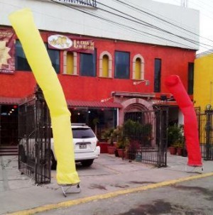 ALP MEXICO Avisos gratis en Mexico lindo en Los Cabos |  Sky dancers para todo evento varios colores, Skydancer