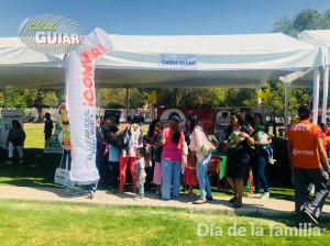 ALP MEXICO Avisos gratis en Mexico lindo en Ciudad de Mexico |  ArtÍculos varios para activaciones publicitarias y promocionales, Activaciones