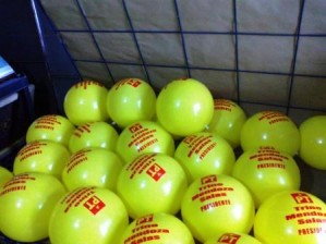 ALP MEXICO Avisos gratis en Mexico lindo en Cuernavaca |  Pelotas de pvc publicitarias varios colores y diseÑos, Pelotas de pvc
