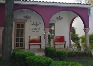Carlos Ortiz Avisos gratis en Mexico lindo en Ciudad de Mexico |  Hospedate en el corazon de coyoacan , Hospedate