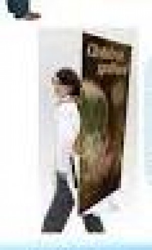 ALP MEXICO Avisos gratis en Mexico lindo en Los Cabos |  Banners ambulantes con chaleco con su publicidad, Chalecos con banner