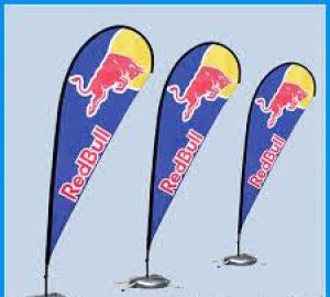 ARMANDO CEDEÑO Avisos gratis en Mexico lindo en Pachuca de Soto |  Fly banners o banderas publicitarias con su marca impresa, Banderas publicitarias