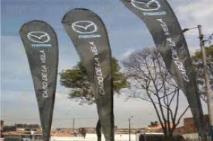 Armando Cedeño Avisos gratis en Mexico lindo en Tampico |  Flag banners o banderas publicitarias sublimadas y con estructura, Banderas publicitarias