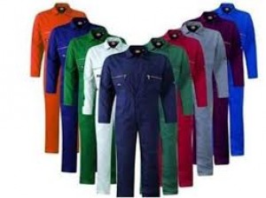 ARMANDO CEDEÑO Avisos gratis en Mexico lindo en Monterrey |  Uniformes para empresas para damas y caballeros, Ropa de trabajo