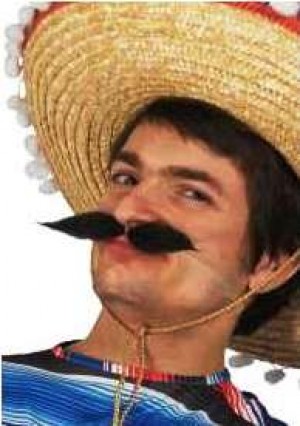 ARMANDO CEDEÑO Avisos gratis en Mexico lindo en Tlaxcala |  Bigotes y pelucas para fiestas patrias amplio surtido, Bigotes fiestas patrias