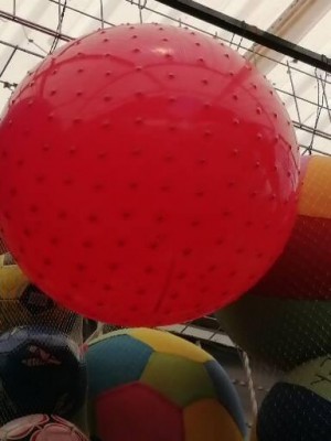 Fashion Publicity Avisos gratis en Mexico lindo en Tampico |  Pelota ejercitadora pilates moderna varios colores y modelos, Pelotas pilates