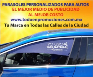BERNARDO AMENEYRO Avisos gratis en Mexico lindo en Chihuahua |  Cortinas personalizadas para auto con tu producto a color, Marca: 55 81 16 63 69 encuentra todos los modelos de parasoles para au