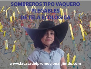 ERICK Avisos gratis en Mexico lindo en Playa del Carmen |  Sombreros tipo vaquero personalizados plegables para campaÑas, Fabricamos sombreros plegables en 15 colores diferentes