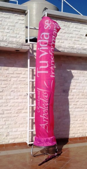 ARMANDO CEDEÑO Avisos gratis en Mexico lindo en Aguascalientes |  Sky dancers con publicidad impresa en tela sublimada, Sky dancers