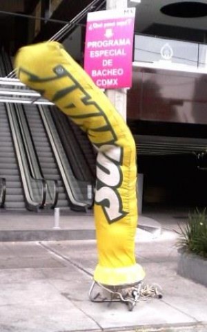 ARMANDO CEDEÑO Avisos gratis en Mexico lindo en Chilpancingo de los Bravo |  Sky dancers con su logotipo y marca impresos en acapulco, Sky dancers