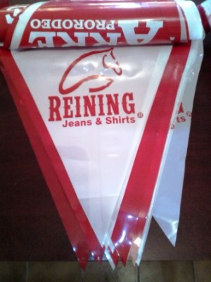 ARMANDO CEDEÑO Avisos gratis en Mexico lindo en Monterrey |  Banderines para fiestas y eventos con logotipos en monterrey, Banderines