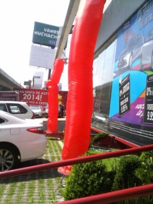 ARMANDO CEDEÑO Avisos gratis en Mexico lindo en Ciudad de Mexico |  Renta de sky dancers para su evento en la cdmx, Sky dancers en renta