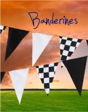 EVENTOS MEEE Avisos gratis en Mexico lindo en Pachuca de Soto |  Banderines publicitarios impresos de venta en pachuca, Banderines