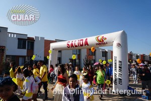 ALP MEXICO Avisos gratis en Mexico lindo en Azcapotzalco |  Arcos inflables gigantes variedad de diseÑos y colores, Arcos inflables