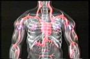 alex Avisos gratis en Mexico lindo en Ixtapan del Oro |  TODO EN TU VIDA ES DIFICIL...?  T&uacute; PUEDES SALIR ADELANTE. PRUEBA..., FOR MOR DE MEXICO