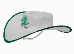 ARMANDO CEDEÑO Avisos gratis en Mexico lindo en Ciudad de Mexico |  CampaÑas politicas articulos varios con logos impresos, CampaÑas politicas