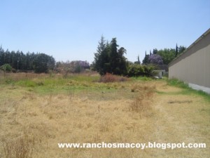  Avisos gratis en Mexico lindo en Atlixco |  Terreno de 11,000 m2 en Tenextepec Atlixco Puebla, Terreno e n Tenextepec el mejor clima del mundo