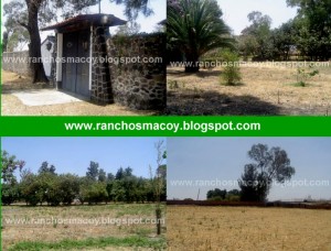 macoy Avisos gratis en Mexico lindo en Atlixco |  ranchos en puebla,ranchos en atlixco,terrenos en puebla venta, quintas en puebla,quintas en atlixco,terrenos en venta,atlixco puebla
