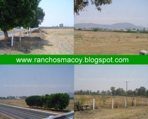 macoy Avisos gratis en Mexico lindo en Atlixco |  terrenos en venta,fraccionamiento,via atlixcayotl, terrenos atlixco