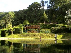 Lic. Gerardo Mendoza Avisos gratis en Mexico lindo en Valle de Bravo |  Gran plusval&iacute;a en Av&aacute;ndaro, Valle de Bravo, Vendo preciosa huerta de 10 hect&aacute;reas con 2 casas.