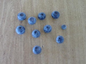  Avisos gratis en Mexico lindo en Tlalpan |  FRUTA EXOTICA BLU BERRY (ARANDANO) POR TONELADAS, JUGOS MEDICINALES