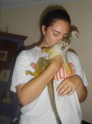 blaise Avisos gratis en Mexico lindo en Ensenada |  sociales monos ardilla para su hogar, monos ardilla