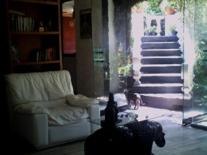 mariana Avisos gratis en Mexico lindo en Iztapalapa |  URGENTE VENDO CASA EXELENETE OPORTUNIDAD, APROVECHE