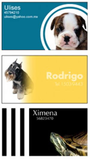 ricardo garcia buenr Avisos gratis en Mexico lindo en Benito Ju&aacute;rez |  tarjetas con foto, tarjetas con foto