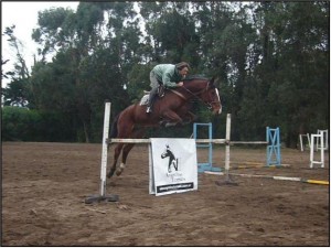 Argentina Horses Avisos gratis en Mexico lindo en Ensenada |  Venta de caballos Argentina Horses, Venta de caballos para salto
