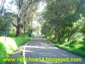 Ranchos Catorce Avisos gratis en Mexico lindo en Atlixco |  Terrenos en venta,Atlixco Puebla,Lotes 400 m2,Metepec, Lotes en venta,terrenos en Atlixco