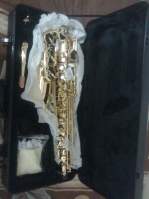 Edson Avisos gratis en Mexico lindo en Tl&aacute;huac |  Saxofon Alto Mercury JBAS-200L, Vendo Saxofon