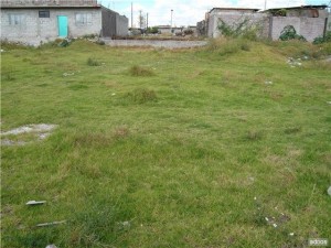 manuel Avisos gratis en Mexico lindo en Ecatepec |  recursos hidrauilicos ejidos de san cristobal , venta de terreno