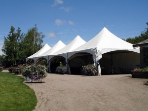 Marcel Reyes Avisos gratis en Mexico lindo en Benito Ju&aacute;rez |  Paquete de Carpas para iniciar negocio de renta , Invesion en negocio de renta de carpas eventos sociales