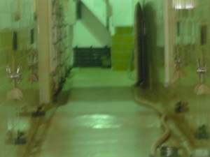 jesus Avisos gratis en Mexico lindo en Hermosillo |  Bodega de vinos usada en argentina / mendoza ciudad tipo boutique, Bodega ideal futura exportacion de vinos personalizados