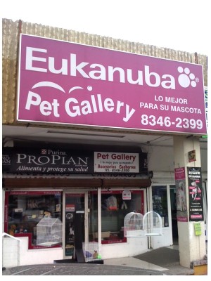 Mario/Patricia Avisos gratis en Mexico lindo en Monterrey |  TIENDA DE MASCOTAS EUKANUBA PROPLAN ROYAL CANIN -  Pet Gallery , CACHORROS PECES AVES ROEDORES REPTILES ACCESORIOS ESTETICA HOTEL ROPA 