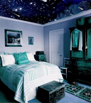 Israel de la Vega Avisos gratis en Mexico lindo en Benito Ju&aacute;rez |  Techo de sue&ntilde;o Universe Deco, Para ver las estrellas,A oscuras se ve mejor,Mi Techo Estrellado