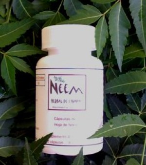 Dolores L&oacute;pez Avisos gratis en Mexico lindo en Tuxtla Guti&eacute;rrez |  CAPSULAS DE HOJA DE NEEM, frasco con 90 c&aacute;ps. $120.00